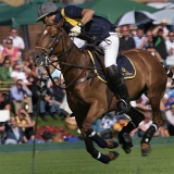 Photoscience - Polo and Wedding photographers in Hampshire Surrey and Sussex